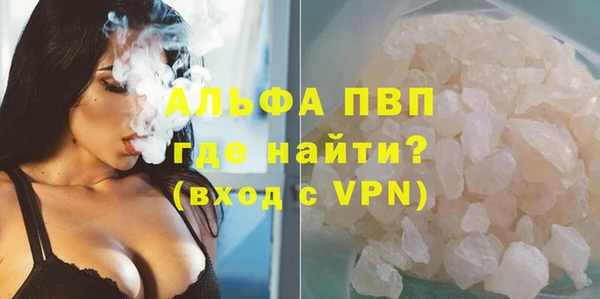 твердый Бородино