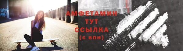 твердый Бородино