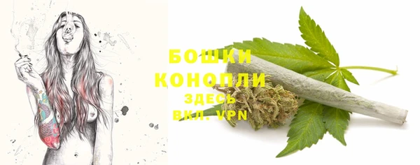 гашик Богданович