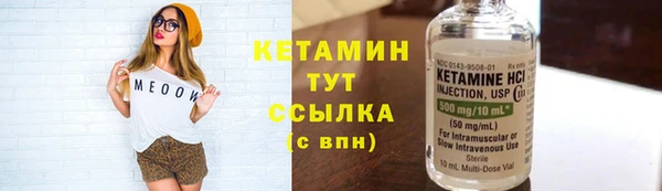 твердый Бородино