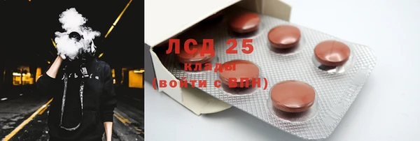 гашик Богданович