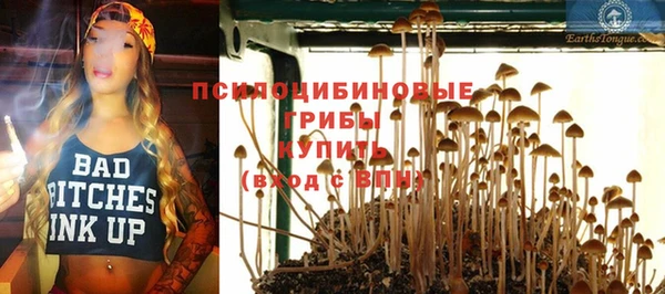 PSILOCYBIN Бронницы
