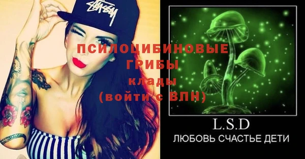 шишки Струнино