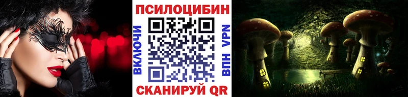 Купить  Весьегонск  Галлюциногенные грибы Cubensis 